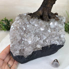 25.5" Tall Large Mixed Gems Gemstone Tree on an Amethyst Base, 720 gems #5407MG - 007 - Brazil GemsBrazil Gems25.5" Tall Large Mixed Gems Gemstone Tree on an Amethyst Base, 720 gems #5407MG - 007Gemstone Trees5407MG - 007