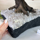 25.5" Tall Large Mixed Gems Gemstone Tree on an Amethyst Base, 720 gems #5407MG - 007 - Brazil GemsBrazil Gems25.5" Tall Large Mixed Gems Gemstone Tree on an Amethyst Base, 720 gems #5407MG - 007Gemstone Trees5407MG - 007