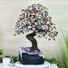 25.5" Tall Large Mixed Gems Gemstone Tree on an Amethyst Base, 720 gems #5407MG - 008 - Brazil GemsBrazil Gems25.5" Tall Large Mixed Gems Gemstone Tree on an Amethyst Base, 720 gems #5407MG - 008Gemstone Trees5407MG - 008