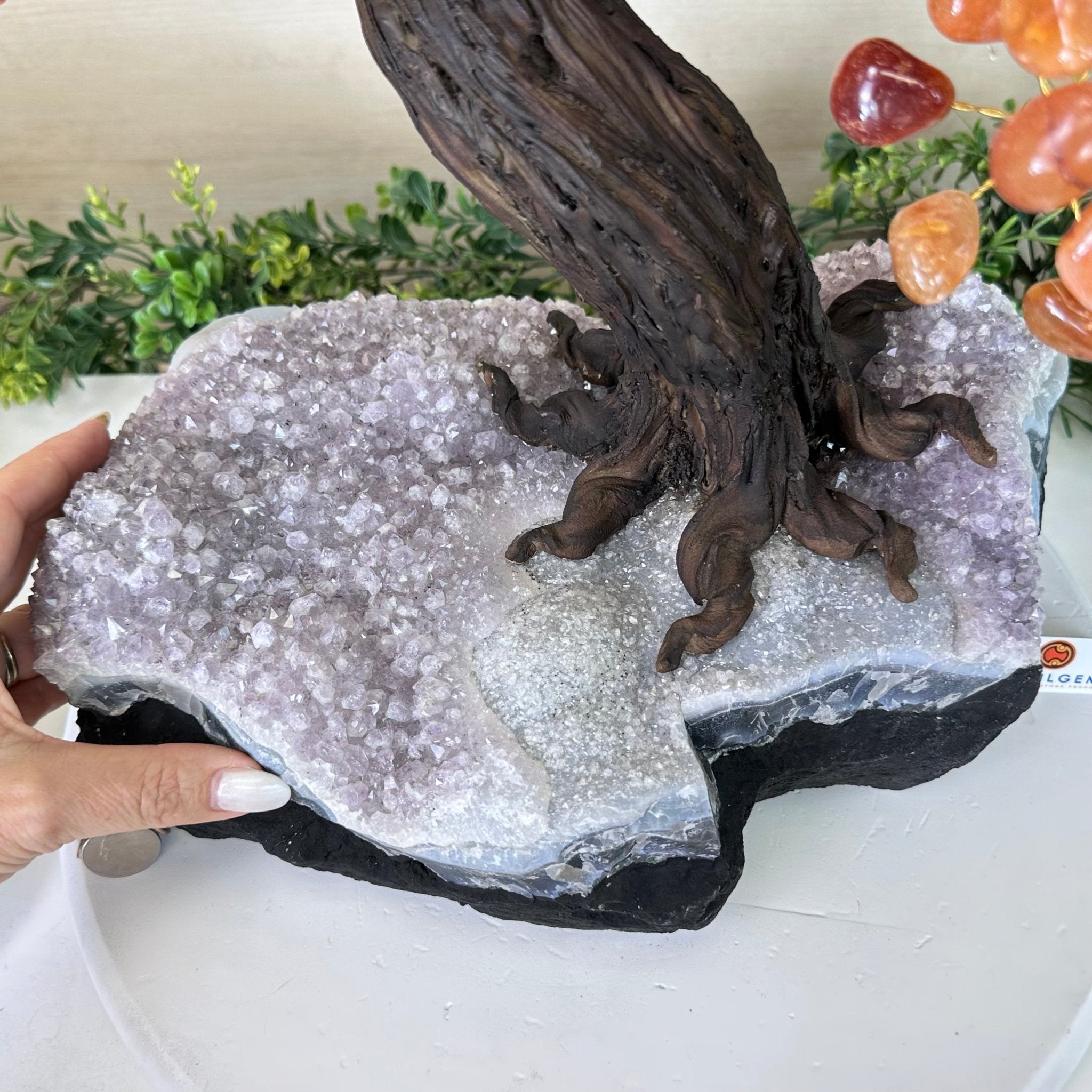 25.75" Tall Large Carnelian Gemstone Tree on an Amethyst Base, 720 gems #5407CA - 005 - Brazil GemsBrazil Gems25.75" Tall Large Carnelian Gemstone Tree on an Amethyst Base, 720 gems #5407CA - 005Gemstone Trees5407CA - 005