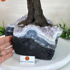 25.75" Tall Large Carnelian Gemstone Tree on an Amethyst Base, 720 gems #5407CA - 005 - Brazil GemsBrazil Gems25.75" Tall Large Carnelian Gemstone Tree on an Amethyst Base, 720 gems #5407CA - 005Gemstone Trees5407CA - 005