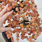 25.75" Tall Large Carnelian Gemstone Tree on an Amethyst Base, 720 gems #5407CA - 005 - Brazil GemsBrazil Gems25.75" Tall Large Carnelian Gemstone Tree on an Amethyst Base, 720 gems #5407CA - 005Gemstone Trees5407CA - 005