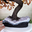 25.75" Tall Large Carnelian Gemstone Tree on an Amethyst Base, 720 gems #5407CA - 005 - Brazil GemsBrazil Gems25.75" Tall Large Carnelian Gemstone Tree on an Amethyst Base, 720 gems #5407CA - 005Gemstone Trees5407CA - 005