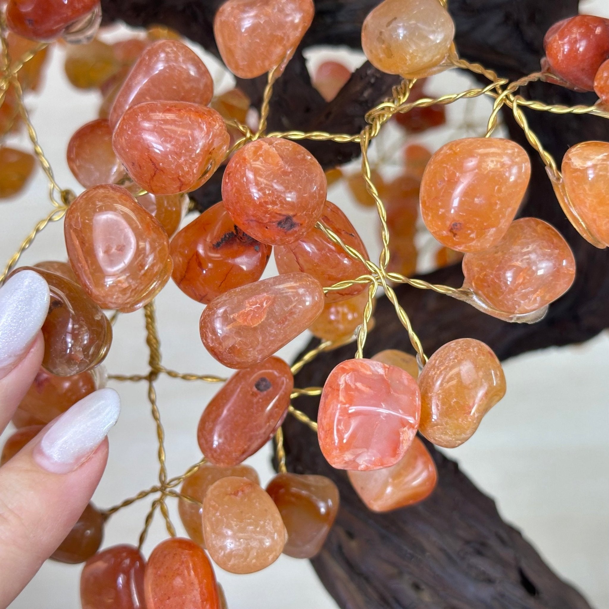 25.75" Tall Large Carnelian Gemstone Tree on an Amethyst Base, 720 gems #5407CA - 005 - Brazil GemsBrazil Gems25.75" Tall Large Carnelian Gemstone Tree on an Amethyst Base, 720 gems #5407CA - 005Gemstone Trees5407CA - 005