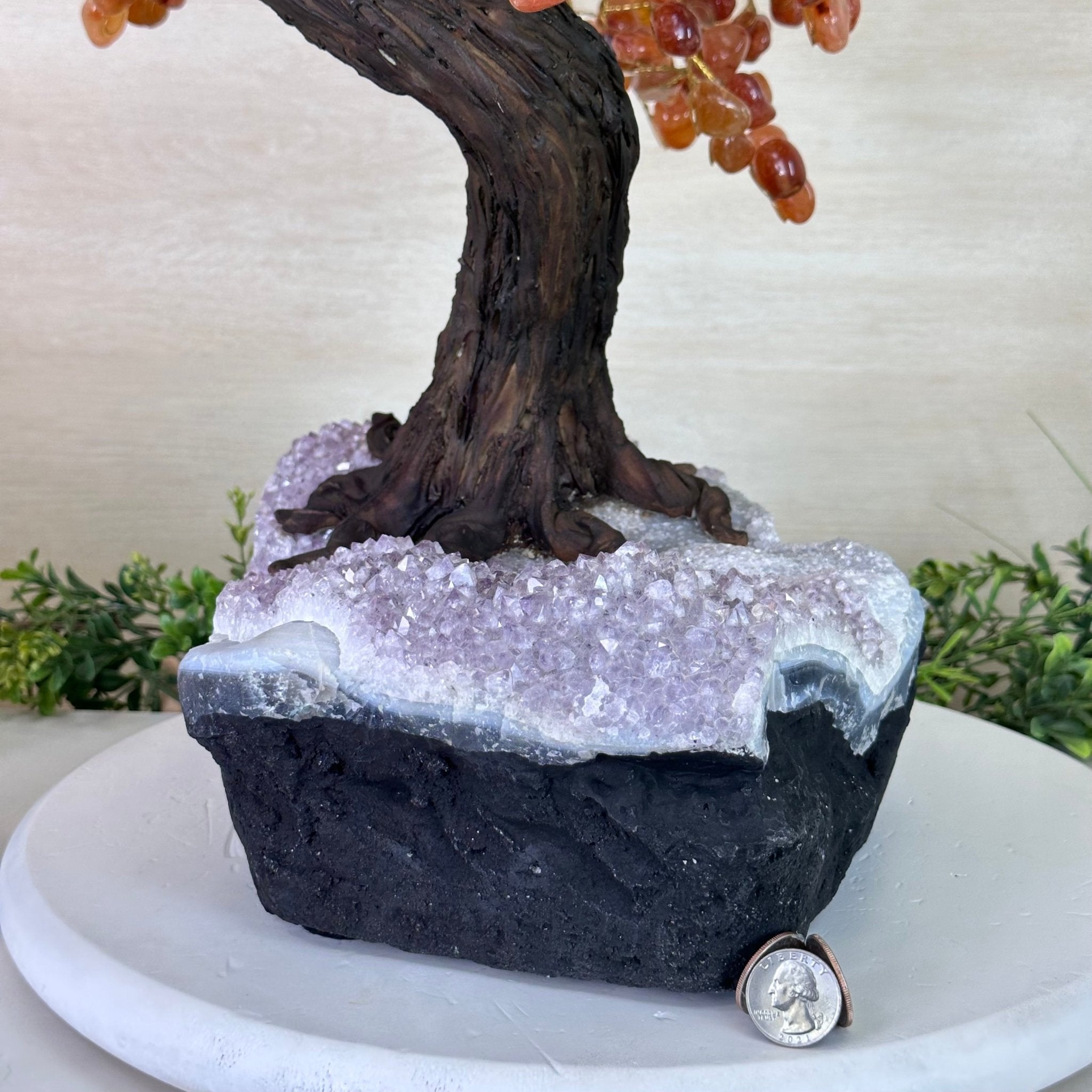 25.75" Tall Large Carnelian Gemstone Tree on an Amethyst Base, 720 gems #5407CA - 005 - Brazil GemsBrazil Gems25.75" Tall Large Carnelian Gemstone Tree on an Amethyst Base, 720 gems #5407CA - 005Gemstone Trees5407CA - 005