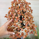 25.75" Tall Large Carnelian Gemstone Tree on an Amethyst Base, 720 gems #5407CA - 005 - Brazil GemsBrazil Gems25.75" Tall Large Carnelian Gemstone Tree on an Amethyst Base, 720 gems #5407CA - 005Gemstone Trees5407CA - 005