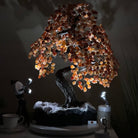 25.75" Tall Large Carnelian Gemstone Tree on an Amethyst Base, 720 gems #5407CA - 005 - Brazil GemsBrazil Gems25.75" Tall Large Carnelian Gemstone Tree on an Amethyst Base, 720 gems #5407CA - 005Gemstone Trees5407CA - 005