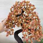 25.75" Tall Large Carnelian Gemstone Tree on an Amethyst Base, 720 gems #5407CA - 005 - Brazil GemsBrazil Gems25.75" Tall Large Carnelian Gemstone Tree on an Amethyst Base, 720 gems #5407CA - 005Gemstone Trees5407CA - 005