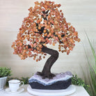 25.75" Tall Large Carnelian Gemstone Tree on an Amethyst Base, 720 gems #5407CA - 005 - Brazil GemsBrazil Gems25.75" Tall Large Carnelian Gemstone Tree on an Amethyst Base, 720 gems #5407CA - 005Gemstone Trees5407CA - 005