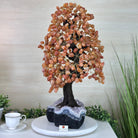 25.75" Tall Large Carnelian Gemstone Tree on an Amethyst Base, 720 gems #5407CA - 005 - Brazil GemsBrazil Gems25.75" Tall Large Carnelian Gemstone Tree on an Amethyst Base, 720 gems #5407CA - 005Gemstone Trees5407CA - 005