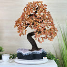 25.75" Tall Large Carnelian Gemstone Tree on an Amethyst Base, 720 gems #5407CA - 005 - Brazil GemsBrazil Gems25.75" Tall Large Carnelian Gemstone Tree on an Amethyst Base, 720 gems #5407CA - 005Gemstone Trees5407CA - 005