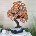 25.75" Tall Large Carnelian Gemstone Tree on an Amethyst Base, 720 gems #5407CA - 005 - Brazil GemsBrazil Gems25.75" Tall Large Carnelian Gemstone Tree on an Amethyst Base, 720 gems #5407CA - 005Gemstone Trees5407CA - 005