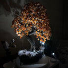 25.75" Tall Large Carnelian Gemstone Tree on an Amethyst Base, 720 gems #5407CA - 005 - Brazil GemsBrazil Gems25.75" Tall Large Carnelian Gemstone Tree on an Amethyst Base, 720 gems #5407CA - 005Gemstone Trees5407CA - 005