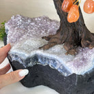 25.75" Tall Large Carnelian Gemstone Tree on an Amethyst Base, 720 gems #5407CA - 005 - Brazil GemsBrazil Gems25.75" Tall Large Carnelian Gemstone Tree on an Amethyst Base, 720 gems #5407CA - 005Gemstone Trees5407CA - 005