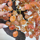 25.75" Tall Large Carnelian Gemstone Tree on an Amethyst Base, 720 gems #5407CA - 005 - Brazil GemsBrazil Gems25.75" Tall Large Carnelian Gemstone Tree on an Amethyst Base, 720 gems #5407CA - 005Gemstone Trees5407CA - 005