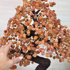 25.75" Tall Large Carnelian Gemstone Tree on an Amethyst Base, 720 gems #5407CA - 005 - Brazil GemsBrazil Gems25.75" Tall Large Carnelian Gemstone Tree on an Amethyst Base, 720 gems #5407CA - 005Gemstone Trees5407CA - 005