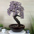 26" Tall Amethyst Gemstone Fountain Tree with Ceramic Bowl, 630 Gem Leaves #5453AMFB - 001 - Brazil GemsBrazil Gems26" Tall Amethyst Gemstone Fountain Tree with Ceramic Bowl, 630 Gem Leaves #5453AMFB - 001Gemstone Trees5453AMFB - 001