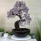 26" Tall Amethyst Gemstone Fountain Tree with Ceramic Bowl, 660 Gem Leaves #5458AMFB - 002 - Brazil GemsBrazil Gems26" Tall Amethyst Gemstone Fountain Tree with Ceramic Bowl, 660 Gem Leaves #5458AMFB - 002Gemstone Trees5458AMFB - 002