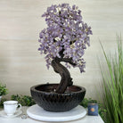 26" Tall Amethyst Gemstone Fountain Tree with Ceramic Bowl, 660 Gem Leaves #5458AMFB - 002 - Brazil GemsBrazil Gems26" Tall Amethyst Gemstone Fountain Tree with Ceramic Bowl, 660 Gem Leaves #5458AMFB - 002Gemstone Trees5458AMFB - 002