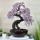 26" Tall Amethyst Gemstone Fountain Tree with Ceramic Bowl, 690 Gem Leaves #5476AMFB - 001 - Brazil GemsBrazil Gems26" Tall Amethyst Gemstone Fountain Tree with Ceramic Bowl, 690 Gem Leaves #5476AMFB - 001Gemstone Trees5476AMFB - 001