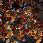 26" Tall Large Carnelian Gemstone Tree on an Amethyst Base, 720 gems #5407CA - 004 - Brazil GemsBrazil Gems26" Tall Large Carnelian Gemstone Tree on an Amethyst Base, 720 gems #5407CA - 004Gemstone Trees5407CA - 004