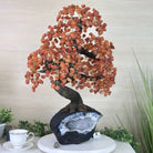 26" Tall Large Carnelian Gemstone Tree on an Amethyst Base, 720 gems #5407CA - 004 - Brazil GemsBrazil Gems26" Tall Large Carnelian Gemstone Tree on an Amethyst Base, 720 gems #5407CA - 004Gemstone Trees5407CA - 004