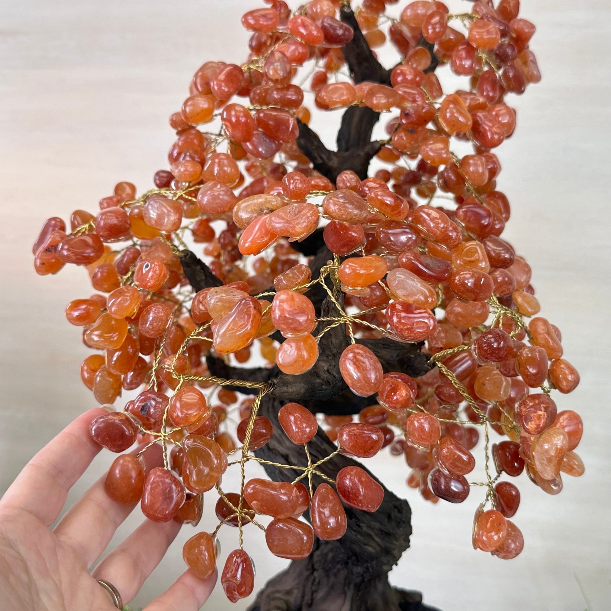 26" Tall Large Carnelian Gemstone Tree on an Amethyst Base, 720 gems #5407CA - 004 - Brazil GemsBrazil Gems26" Tall Large Carnelian Gemstone Tree on an Amethyst Base, 720 gems #5407CA - 004Gemstone Trees5407CA - 004