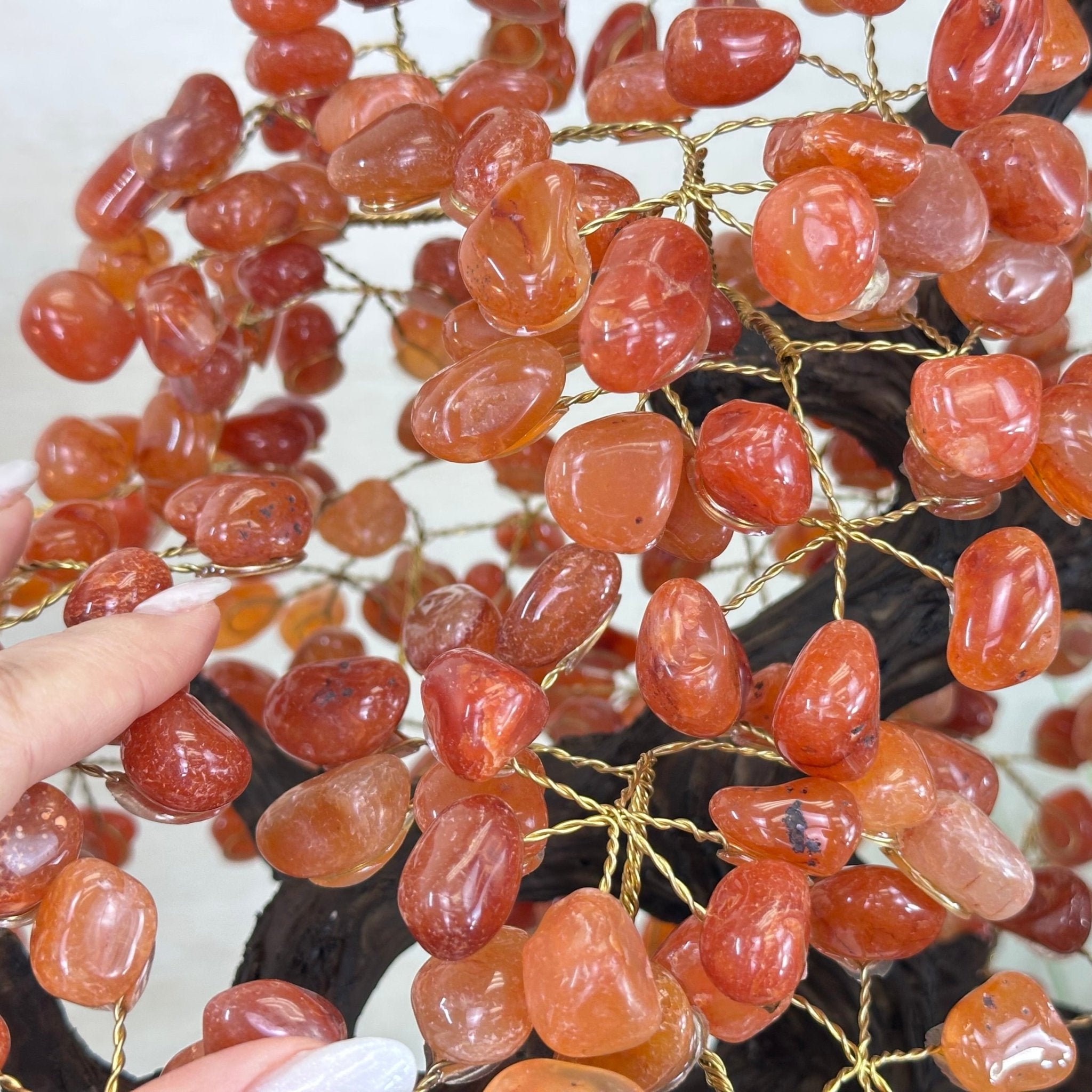 26" Tall Large Carnelian Gemstone Tree on an Amethyst Base, 720 gems #5407CA - 004 - Brazil GemsBrazil Gems26" Tall Large Carnelian Gemstone Tree on an Amethyst Base, 720 gems #5407CA - 004Gemstone Trees5407CA - 004