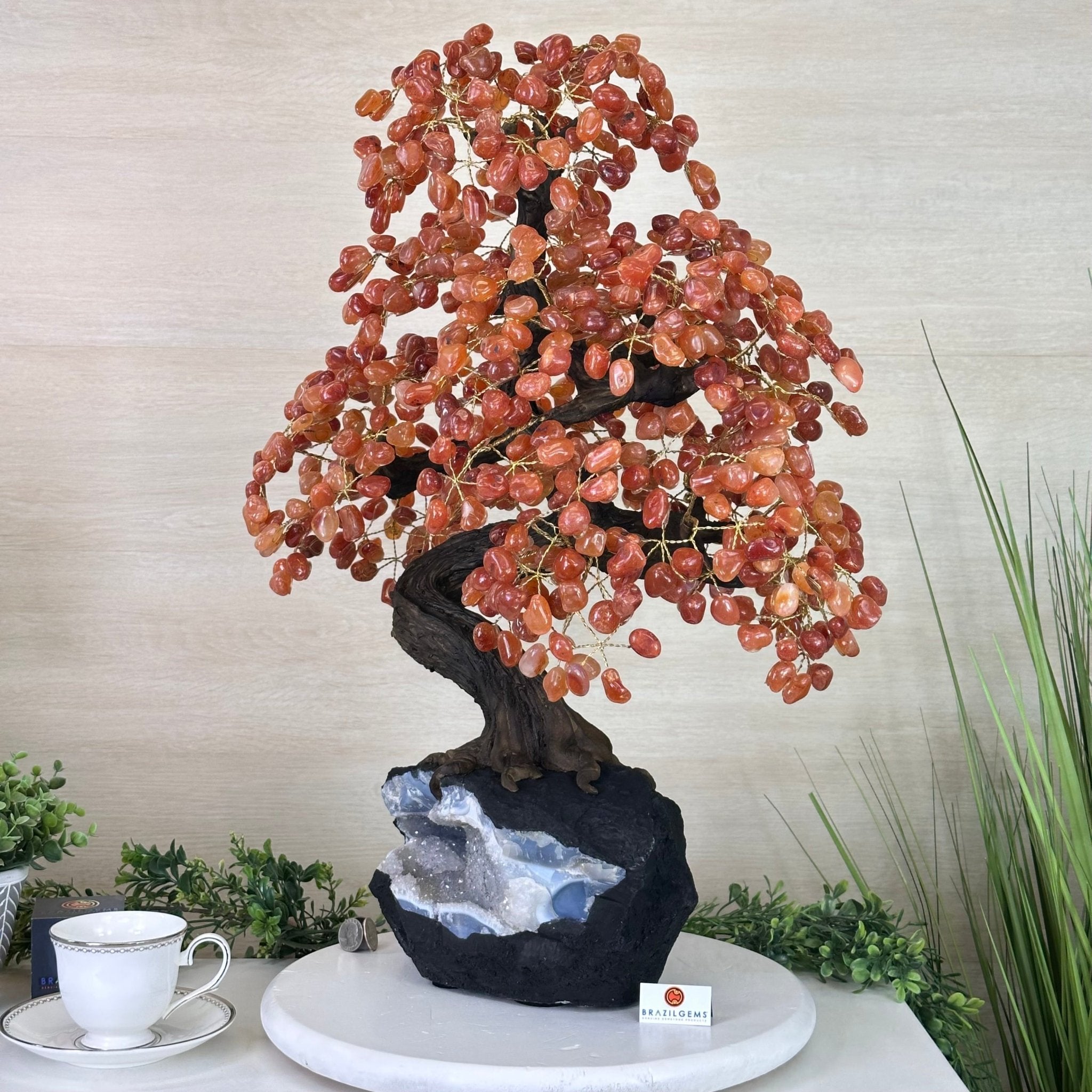 26" Tall Large Carnelian Gemstone Tree on an Amethyst Base, 720 gems #5407CA - 004 - Brazil GemsBrazil Gems26" Tall Large Carnelian Gemstone Tree on an Amethyst Base, 720 gems #5407CA - 004Gemstone Trees5407CA - 004