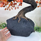 26" Tall Large Carnelian Gemstone Tree on an Amethyst Base, 720 gems #5407CA - 004 - Brazil GemsBrazil Gems26" Tall Large Carnelian Gemstone Tree on an Amethyst Base, 720 gems #5407CA - 004Gemstone Trees5407CA - 004