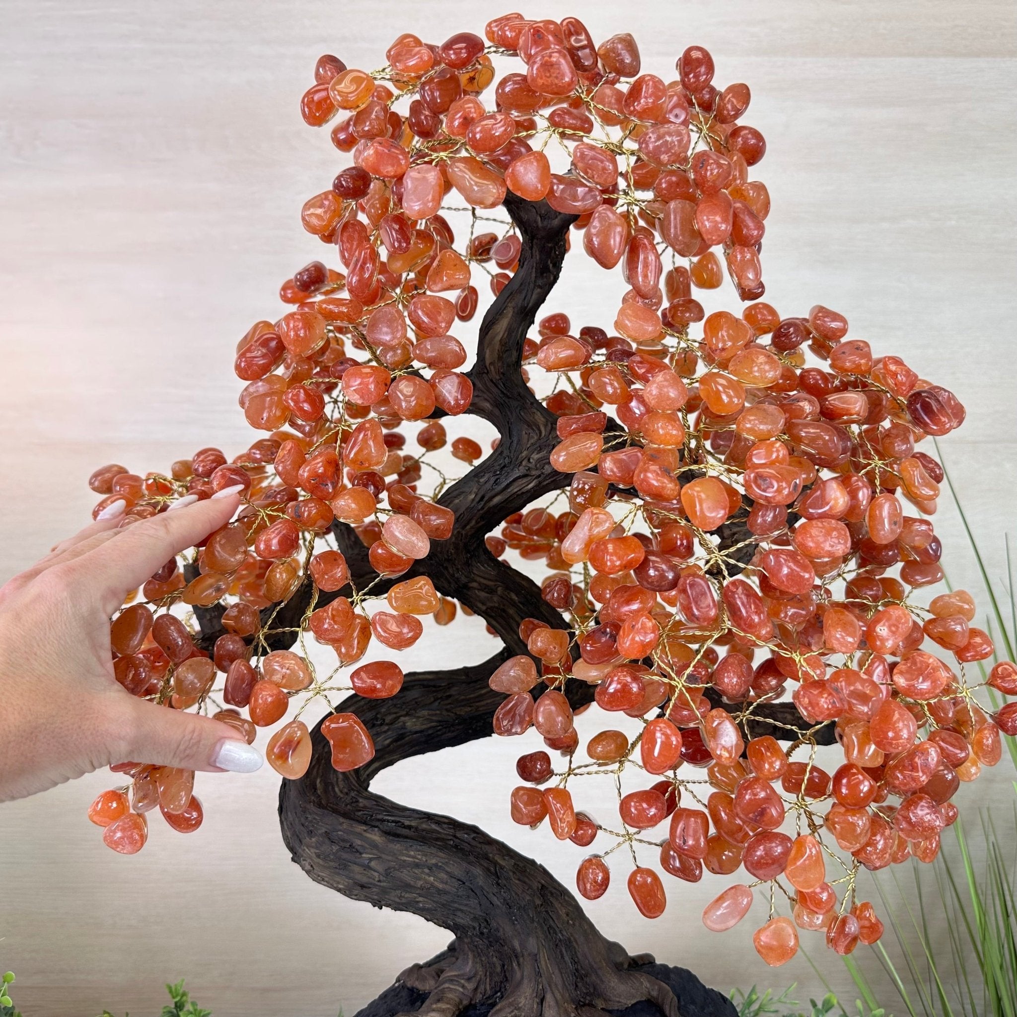 26" Tall Large Carnelian Gemstone Tree on an Amethyst Base, 720 gems #5407CA - 004 - Brazil GemsBrazil Gems26" Tall Large Carnelian Gemstone Tree on an Amethyst Base, 720 gems #5407CA - 004Gemstone Trees5407CA - 004