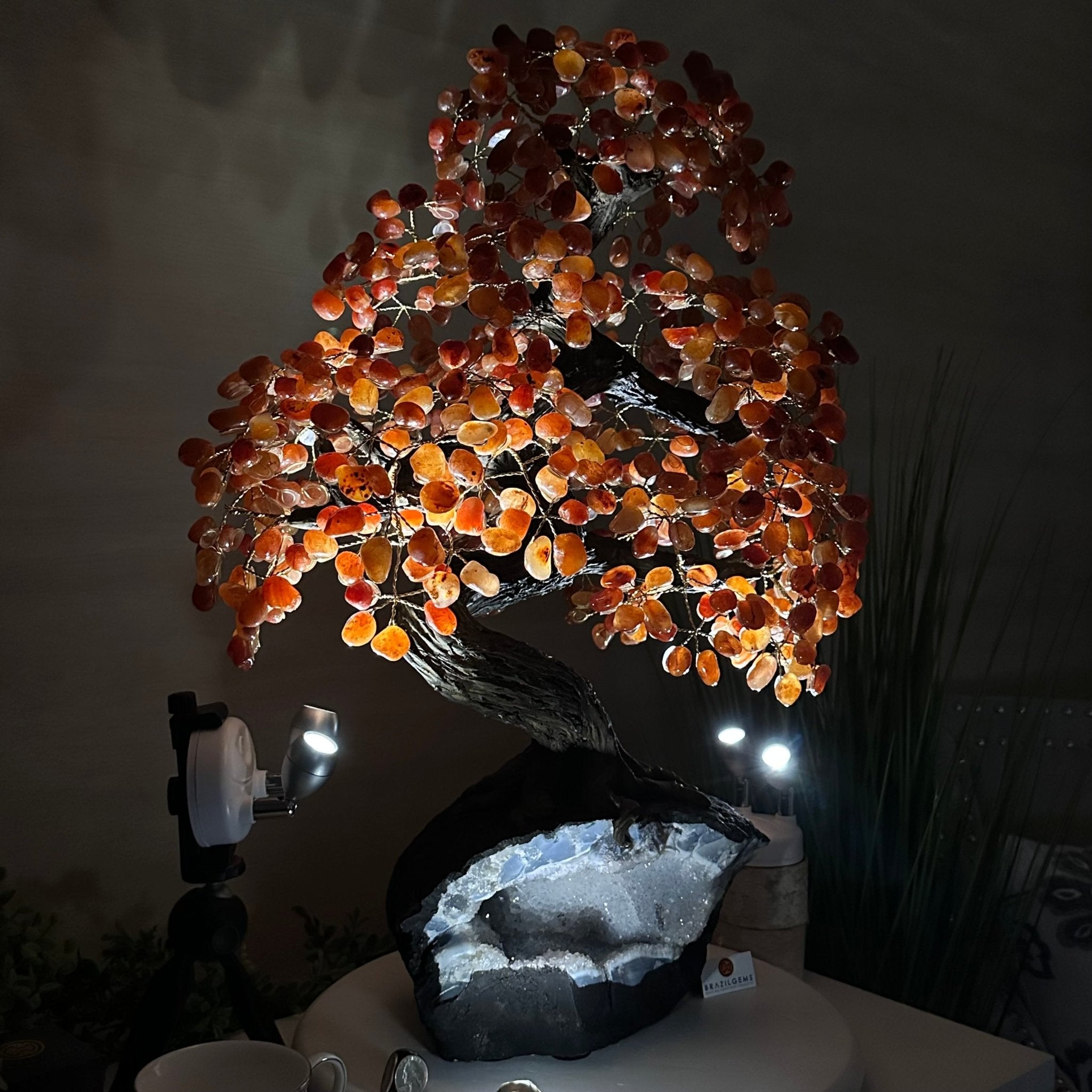 26" Tall Large Carnelian Gemstone Tree on an Amethyst Base, 720 gems #5407CA - 004 - Brazil GemsBrazil Gems26" Tall Large Carnelian Gemstone Tree on an Amethyst Base, 720 gems #5407CA - 004Gemstone Trees5407CA - 004