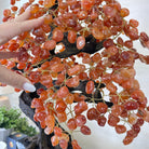 26" Tall Large Carnelian Gemstone Tree on an Amethyst Base, 720 gems #5407CA - 004 - Brazil GemsBrazil Gems26" Tall Large Carnelian Gemstone Tree on an Amethyst Base, 720 gems #5407CA - 004Gemstone Trees5407CA - 004