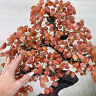 26" Tall Large Carnelian Gemstone Tree on an Amethyst Base, 720 gems #5407CA - 004 - Brazil GemsBrazil Gems26" Tall Large Carnelian Gemstone Tree on an Amethyst Base, 720 gems #5407CA - 004Gemstone Trees5407CA - 004