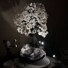 26" Tall Large Clear Quartz Gemstone Tree on an Amethyst Base, 720 gems #5407CQ - 010 - Brazil GemsBrazil Gems26" Tall Large Clear Quartz Gemstone Tree on an Amethyst Base, 720 gems #5407CQ - 010Gemstone Trees5407CQ - 010