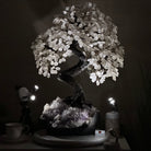 26" Tall Large Clear Quartz Gemstone Tree on an Amethyst Base, 720 gems #5407CQ - 010 - Brazil GemsBrazil Gems26" Tall Large Clear Quartz Gemstone Tree on an Amethyst Base, 720 gems #5407CQ - 010Gemstone Trees5407CQ - 010