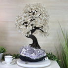 26" Tall Large Clear Quartz Gemstone Tree on an Amethyst Base, 720 gems #5407CQ - 010 - Brazil GemsBrazil Gems26" Tall Large Clear Quartz Gemstone Tree on an Amethyst Base, 720 gems #5407CQ - 010Gemstone Trees5407CQ - 010