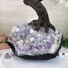 26" Tall Large Clear Quartz Gemstone Tree on an Amethyst Base, 720 gems #5407CQ - 010 - Brazil GemsBrazil Gems26" Tall Large Clear Quartz Gemstone Tree on an Amethyst Base, 720 gems #5407CQ - 010Gemstone Trees5407CQ - 010