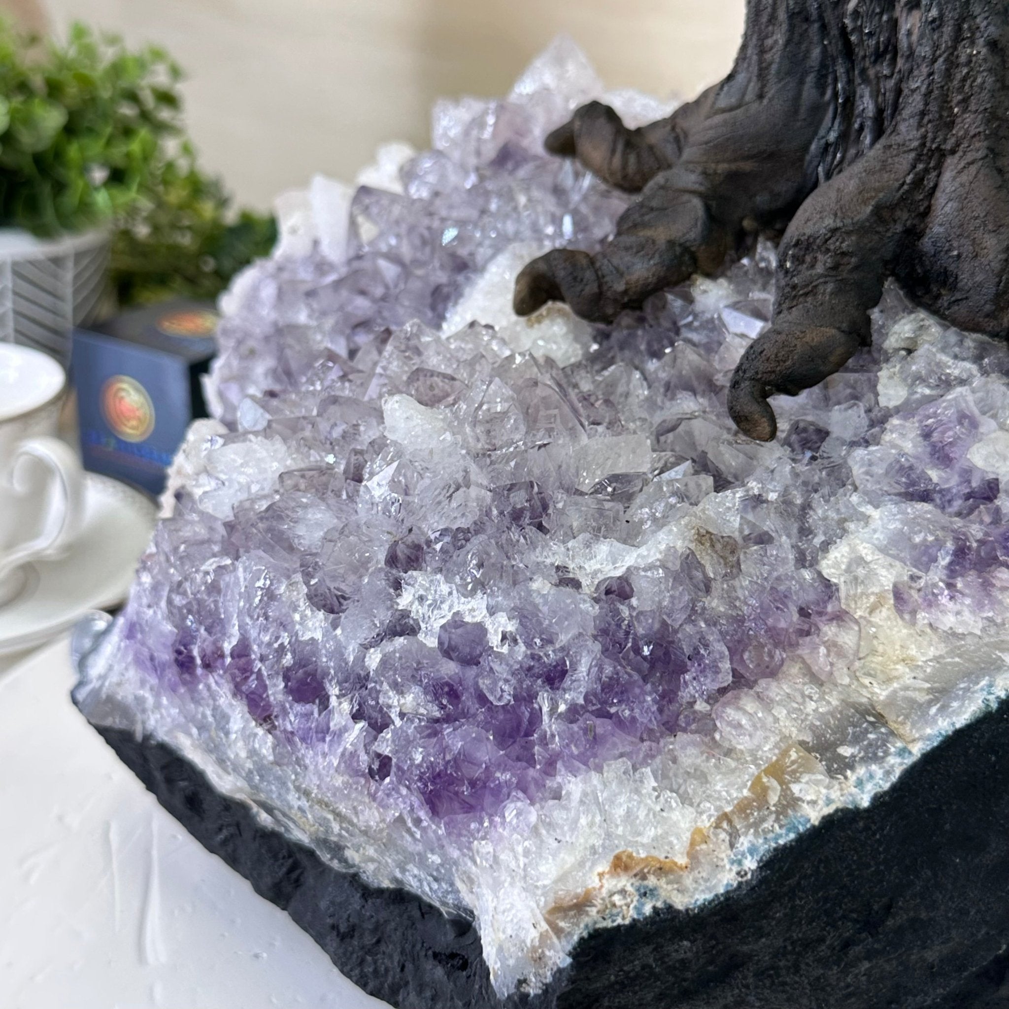 26" Tall Large Clear Quartz Gemstone Tree on an Amethyst Base, 720 gems #5407CQ - 010 - Brazil GemsBrazil Gems26" Tall Large Clear Quartz Gemstone Tree on an Amethyst Base, 720 gems #5407CQ - 010Gemstone Trees5407CQ - 010