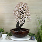 26" Tall Rose Quartz Gemstone Fountain Tree with Ceramic Bowl, 660 Gem Leaves #5458RQFB - 001 - Brazil GemsBrazil Gems26" Tall Rose Quartz Gemstone Fountain Tree with Ceramic Bowl, 660 Gem Leaves #5458RQFB - 001Gemstone Trees5458RQFB - 001