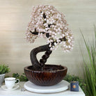 26" Tall Rose Quartz Gemstone Fountain Tree with Ceramic Bowl, 660 Gem Leaves #5458RQFB - 001 - Brazil GemsBrazil Gems26" Tall Rose Quartz Gemstone Fountain Tree with Ceramic Bowl, 660 Gem Leaves #5458RQFB - 001Gemstone Trees5458RQFB - 001