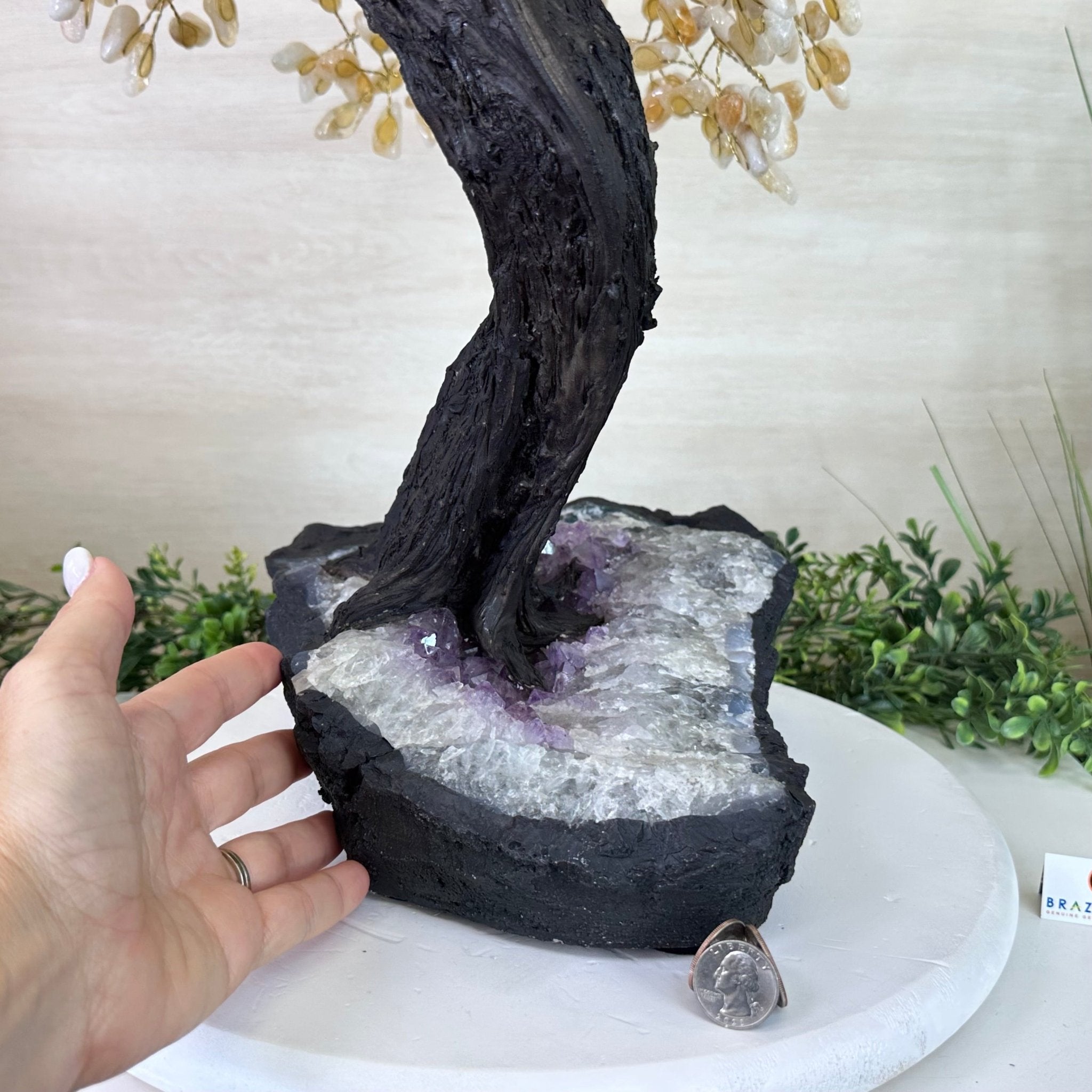 26.6" Tall Large Citrine Gemstone Tree on an Amethyst Base, 720 gems #5407CI - 016 - Brazil GemsBrazil Gems26.6" Tall Large Citrine Gemstone Tree on an Amethyst Base, 720 gems #5407CI - 016Gemstone Trees5407CI - 016