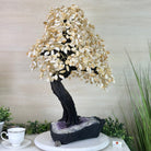 26.6" Tall Large Citrine Gemstone Tree on an Amethyst Base, 720 gems #5407CI - 016 - Brazil GemsBrazil Gems26.6" Tall Large Citrine Gemstone Tree on an Amethyst Base, 720 gems #5407CI - 016Gemstone Trees5407CI - 016