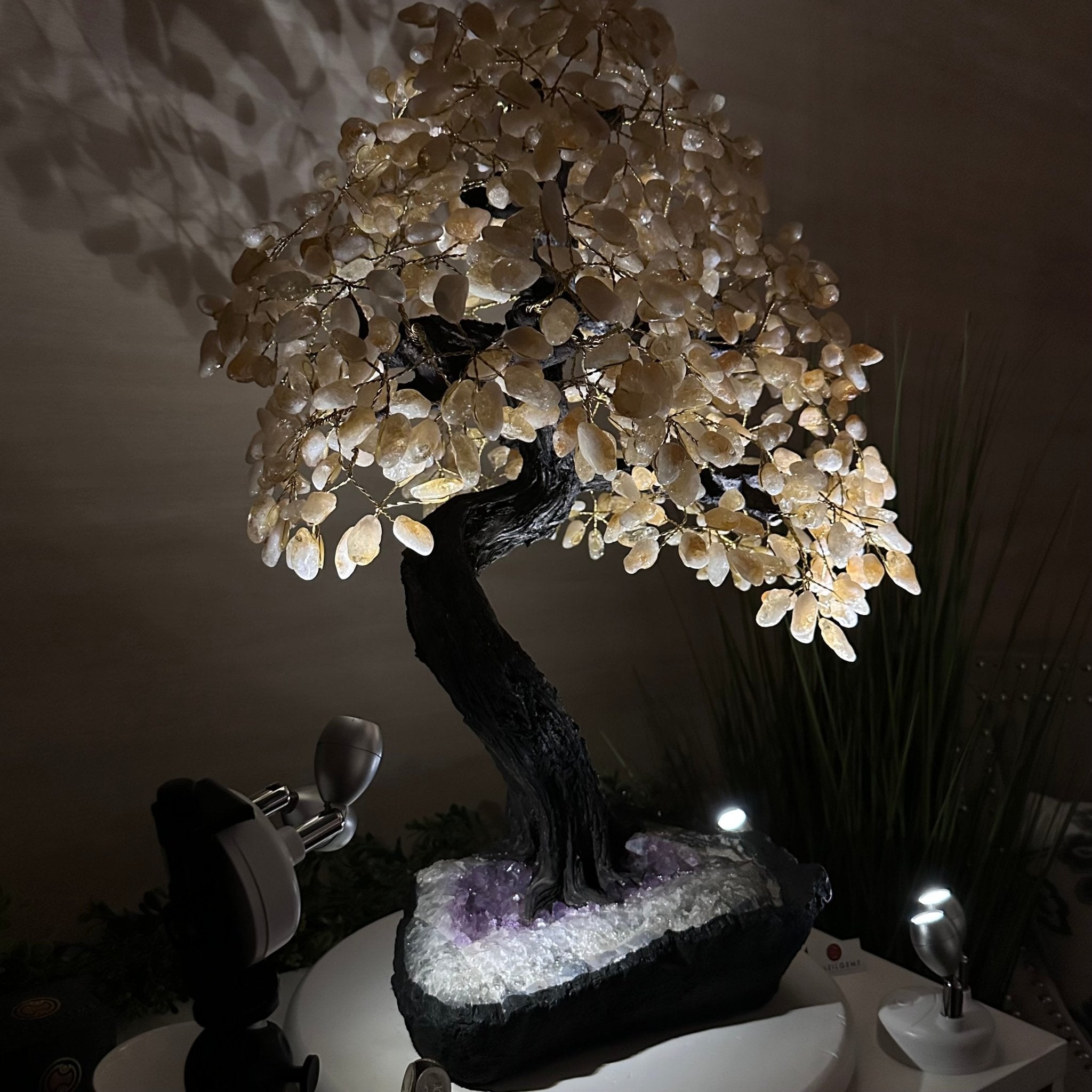 26.6" Tall Large Citrine Gemstone Tree on an Amethyst Base, 720 gems #5407CI - 016 - Brazil GemsBrazil Gems26.6" Tall Large Citrine Gemstone Tree on an Amethyst Base, 720 gems #5407CI - 016Gemstone Trees5407CI - 016