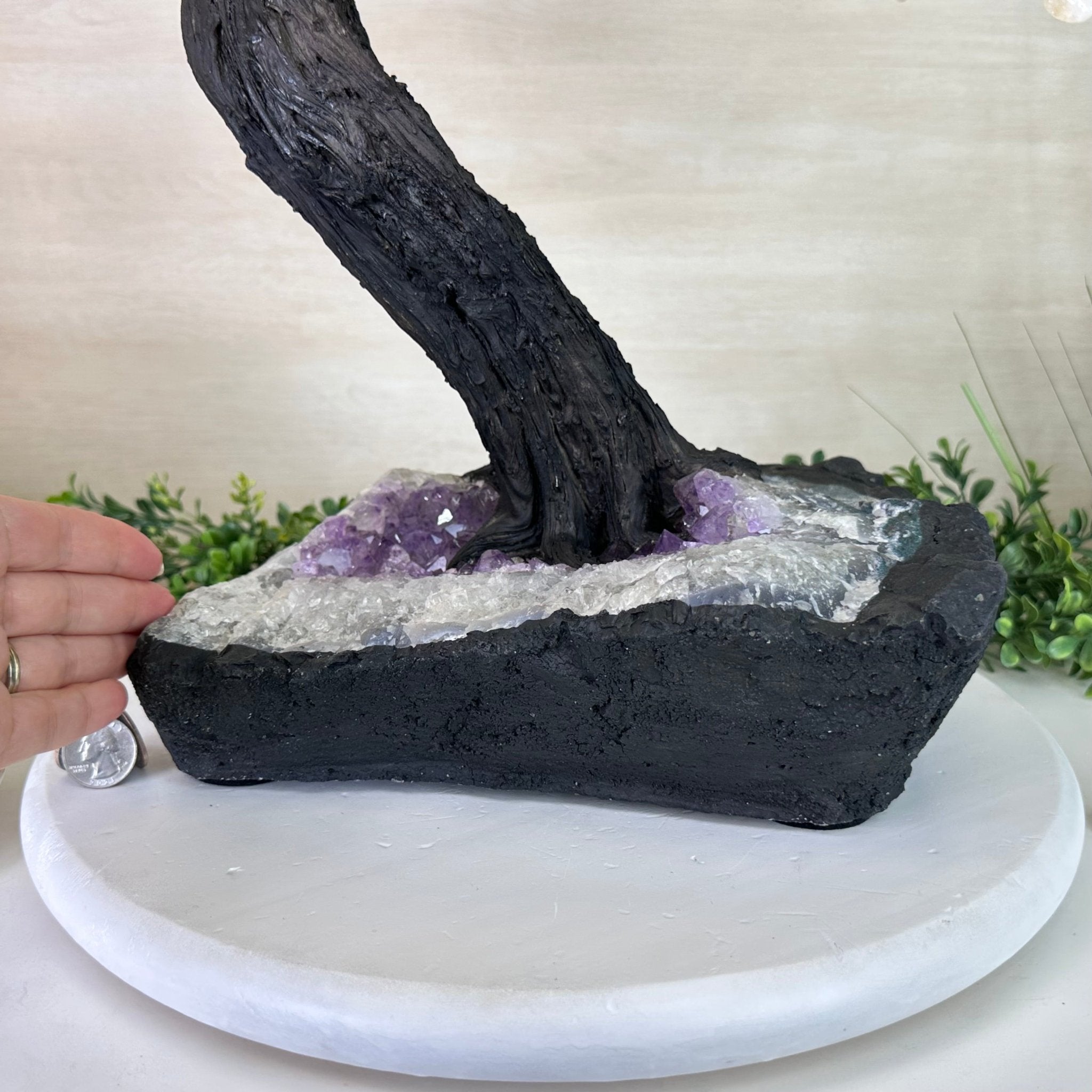 26.6" Tall Large Citrine Gemstone Tree on an Amethyst Base, 720 gems #5407CI - 016 - Brazil GemsBrazil Gems26.6" Tall Large Citrine Gemstone Tree on an Amethyst Base, 720 gems #5407CI - 016Gemstone Trees5407CI - 016