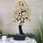 26.6" Tall Large Citrine Gemstone Tree on an Amethyst Base, 720 gems #5407CI - 016 - Brazil GemsBrazil Gems26.6" Tall Large Citrine Gemstone Tree on an Amethyst Base, 720 gems #5407CI - 016Gemstone Trees5407CI - 016