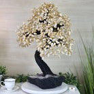 26.6" Tall Large Citrine Gemstone Tree on an Amethyst Base, 720 gems #5407CI - 016 - Brazil GemsBrazil Gems26.6" Tall Large Citrine Gemstone Tree on an Amethyst Base, 720 gems #5407CI - 016Gemstone Trees5407CI - 016