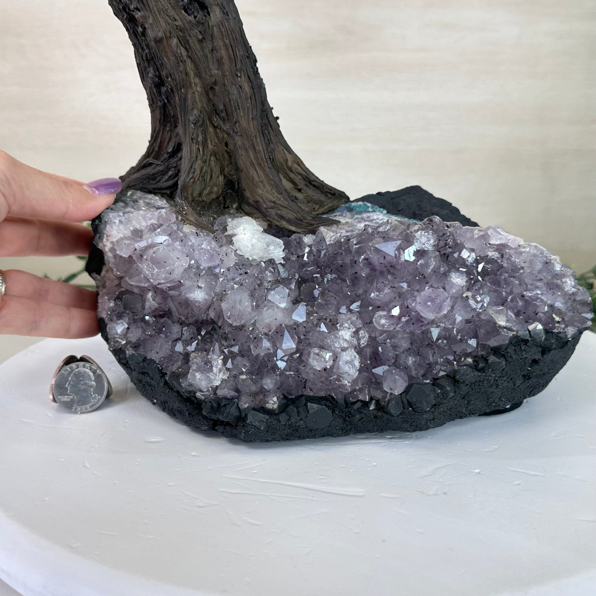 26.7" Tall Large Rose Quartz Gemstone Tree on an Amethyst Base, 720 gems #5407RQ - 015 - Brazil GemsBrazil Gems26.7" Tall Large Rose Quartz Gemstone Tree on an Amethyst Base, 720 gems #5407RQ - 015Gemstone Trees5407RQ - 015