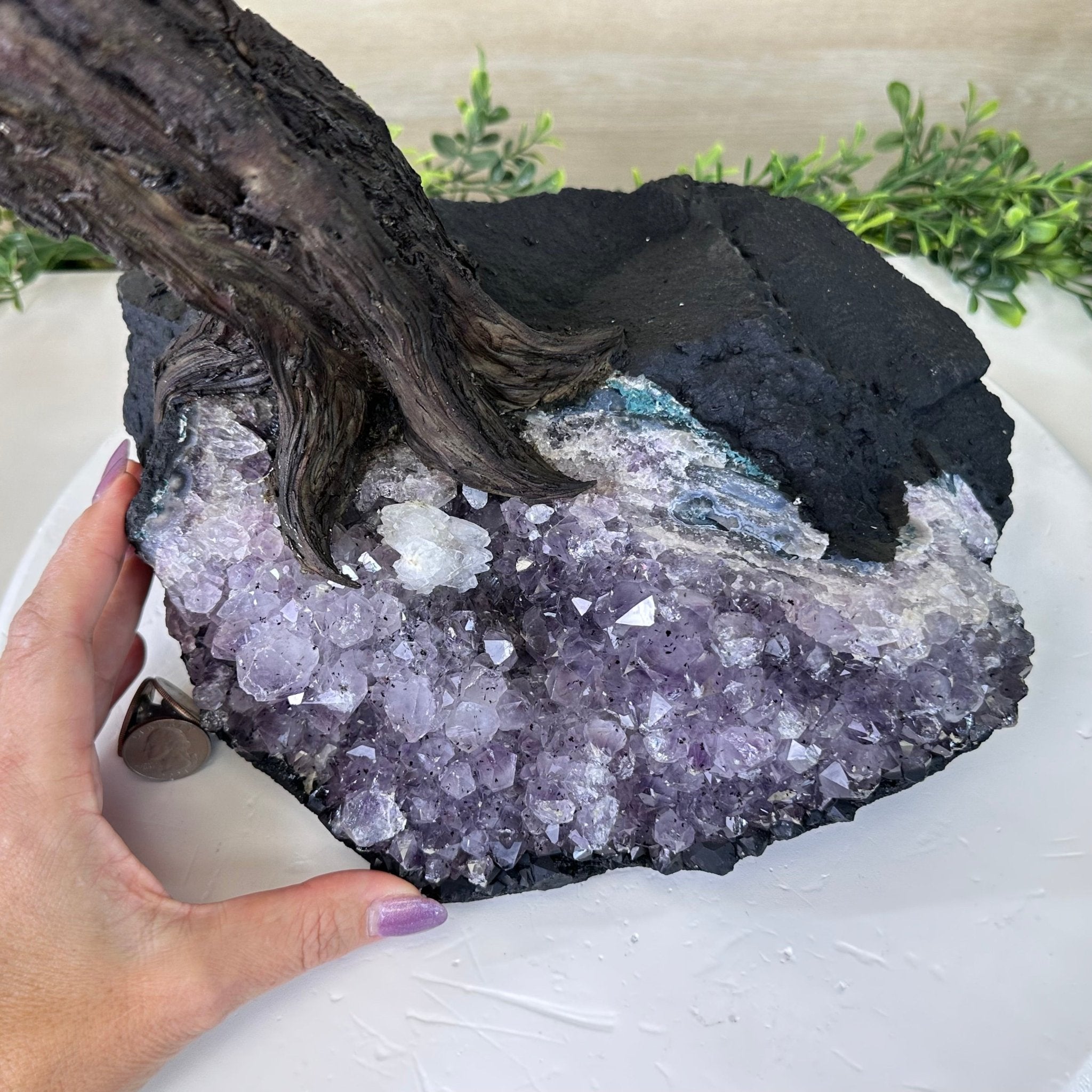 26.7" Tall Large Rose Quartz Gemstone Tree on an Amethyst Base, 720 gems #5407RQ - 015 - Brazil GemsBrazil Gems26.7" Tall Large Rose Quartz Gemstone Tree on an Amethyst Base, 720 gems #5407RQ - 015Gemstone Trees5407RQ - 015