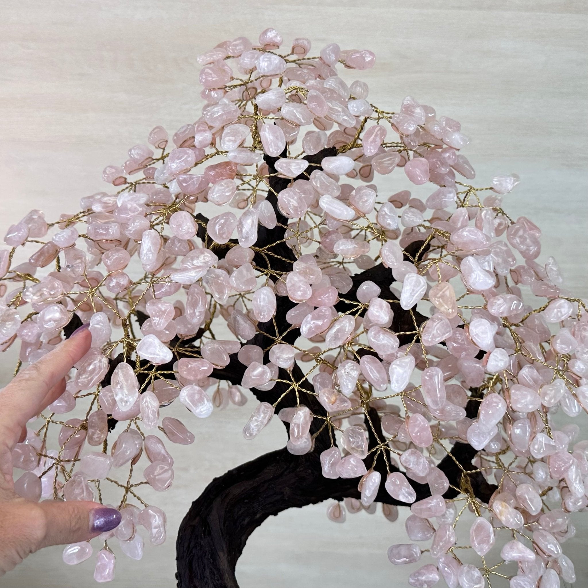 26.7" Tall Large Rose Quartz Gemstone Tree on an Amethyst Base, 720 gems #5407RQ - 015 - Brazil GemsBrazil Gems26.7" Tall Large Rose Quartz Gemstone Tree on an Amethyst Base, 720 gems #5407RQ - 015Gemstone Trees5407RQ - 015